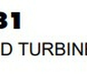 MIL-PRF-6081D Grado 1010 Royco 481 - Tambor de 55 galones